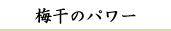 完熟南高梅干通販専門店梅干パワー