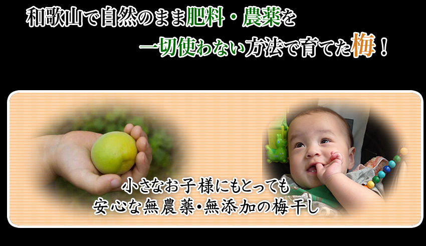 南高梅干し通販専門店の4年かけて作った自然農法・無農薬梅干し/無添加梅干し