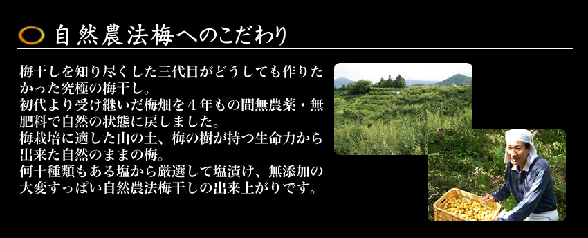 南高梅干し通販専門店の4年かけて作った自然農法・無農薬梅干し/無添加梅干し
